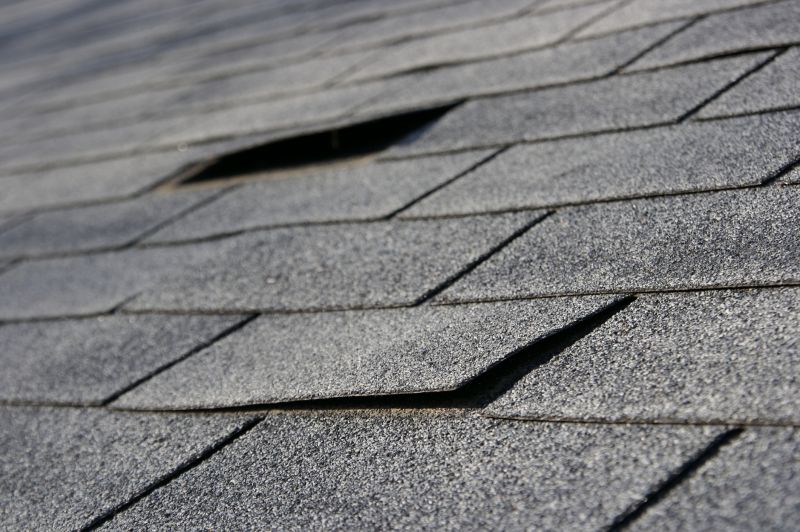 Professional Asphalt Roof Repair 1