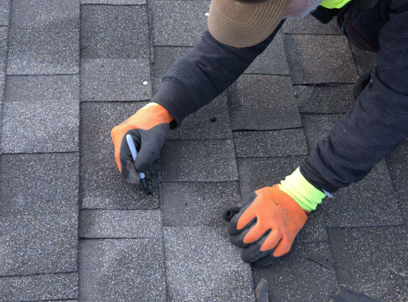 Professional Roofing Service